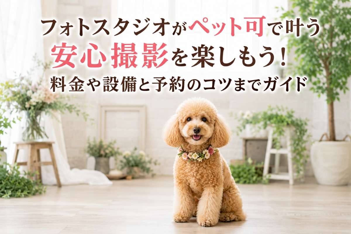フォトスタジオがペット可で叶う安心撮影を楽しもう!料金や設備と予約のコツまでガイド